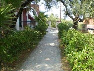 San Andreas Hotel, Laganas