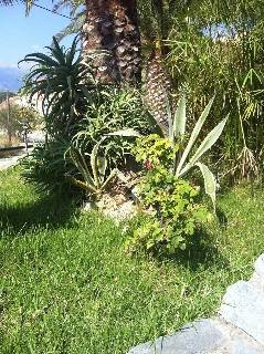 Alkion Hotel, Georgioupoli